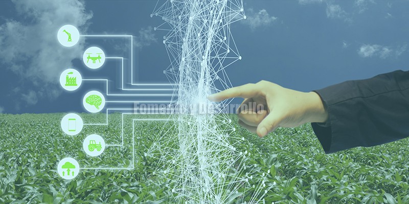 AGRICULTURA INTELIGENTE