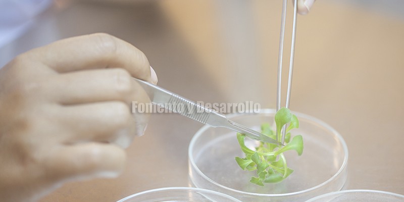 BIODIVERSIDAD Y BANCO GENÉTICO