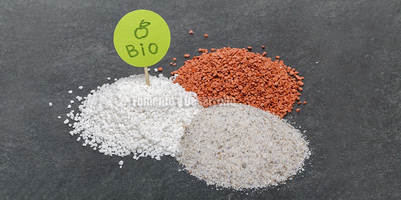 SEGURIDAD ALIMENTARIA