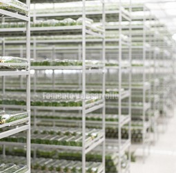 BIODIVERSIDAD Y BANCO GENÉTICO