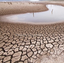 LUCHA CONTRA EL CAMBIO CLIMÁTICO