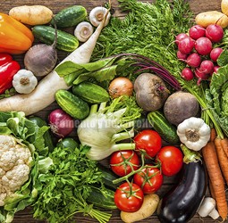 ACCESOS A LOS ALIMENTOS y SEGURIDAD ALIMENTARIA