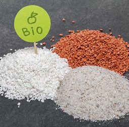 SEGURIDAD ALIMENTARIA